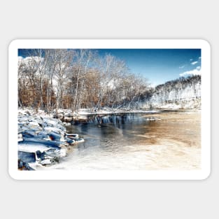 Winter In The Park - Infrared Sticker